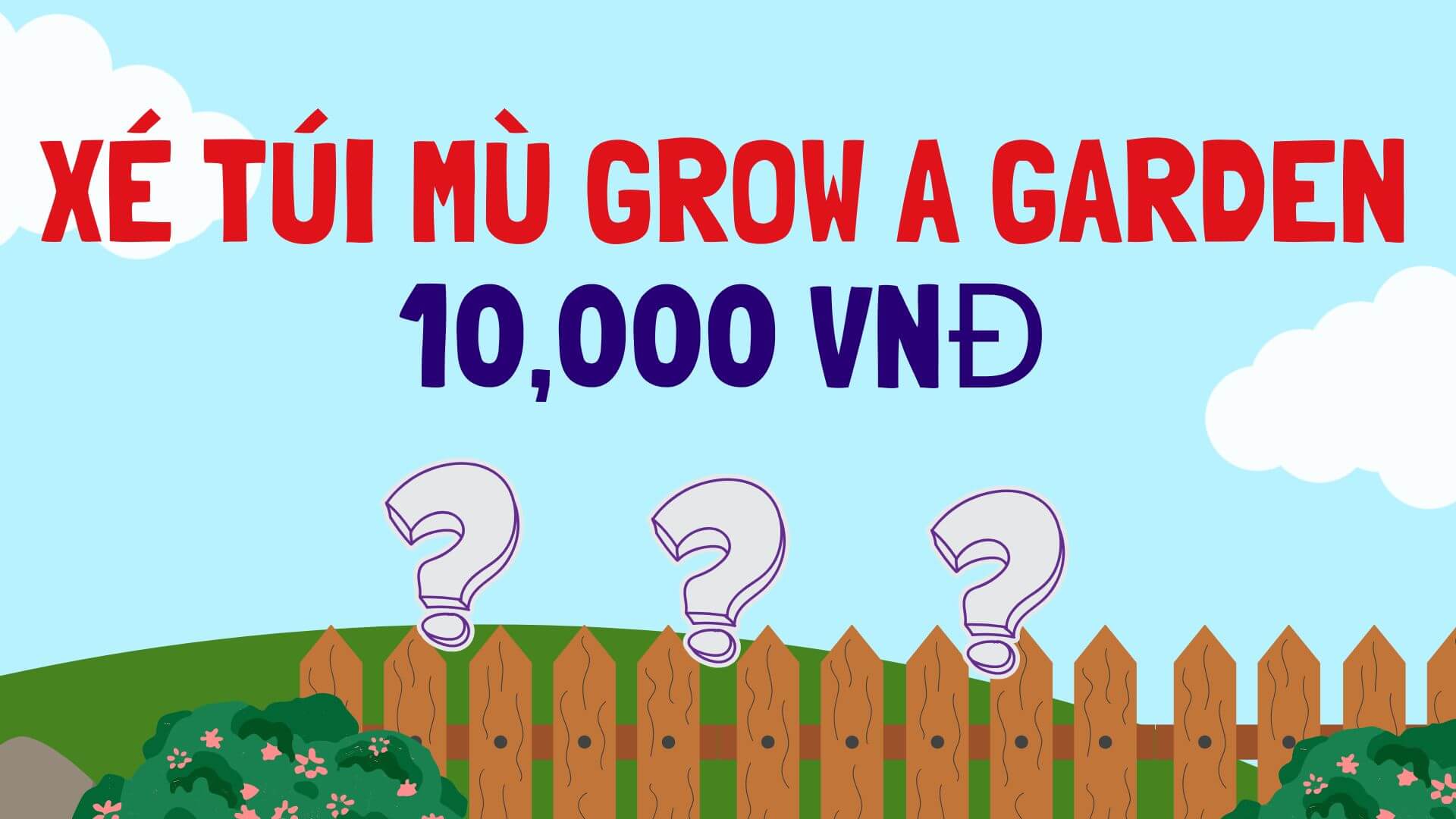 Xé Túi Mù 10K